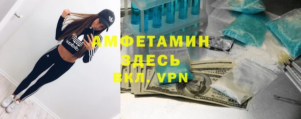 гидра Абаза