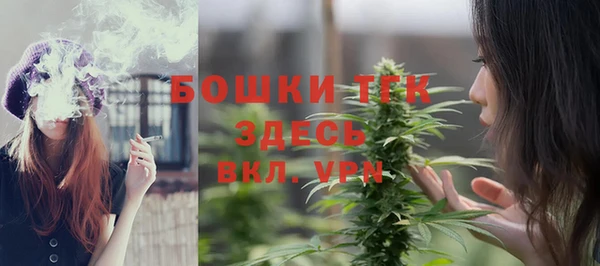 гидра Абаза