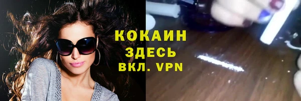стаф Абинск