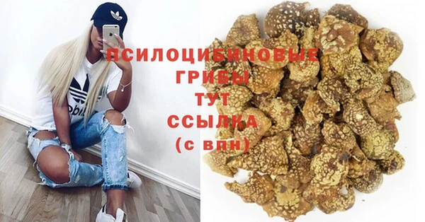 гидра Абаза