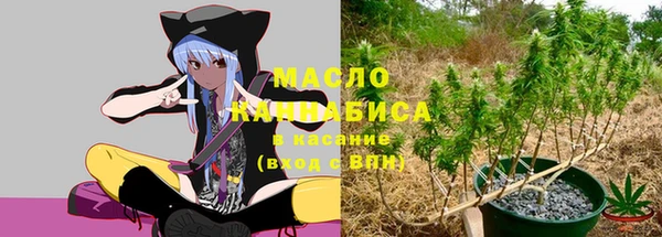 гидра Абаза