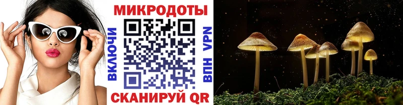 Псилоцибиновые грибы Cubensis  Приволжск 
